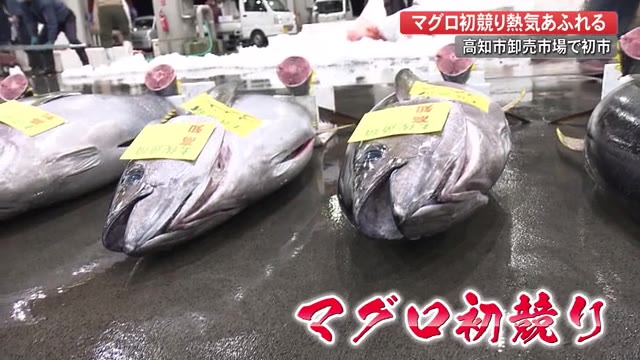 マグロの初競り 今年はバッチリ コロナに負けない 威勢のいいかけ声飛び交う 高知 プライムこうち 高知さんさんテレビ