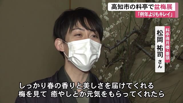 春の香りを楽しんで 創業152年 高知市の老舗料亭 得月楼 で盆梅展 例年よりもきれい 高知 プライムこうち 高知さんさんテレビ