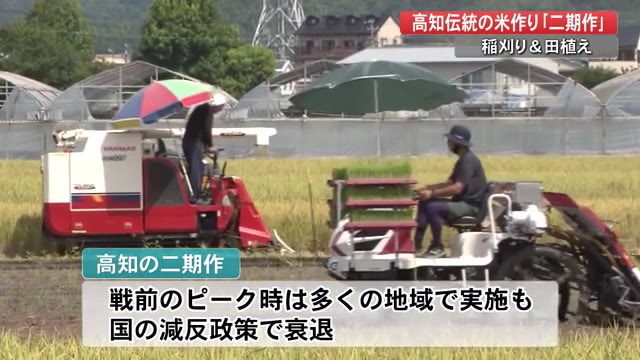 高知市でコメの 二期作 刈り取りの横で田植え 農業を守るのが農家の使命 プライムこうち 高知さんさんテレビ