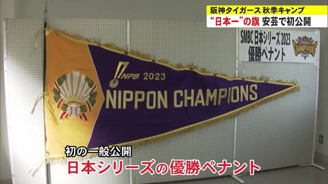 阪神】38年ぶりの《日本シリーズ》優勝旗を高知・安芸キャンプで一般